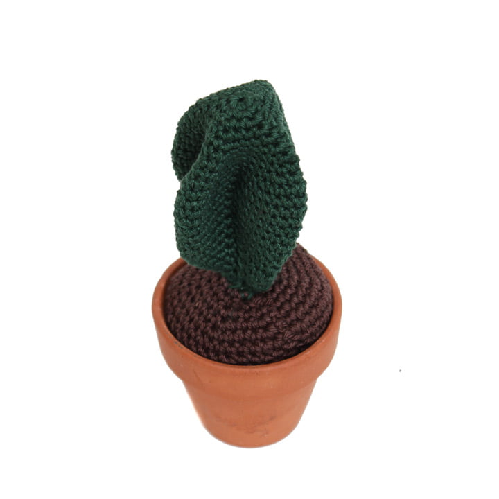 Gehaakte cactus twisted