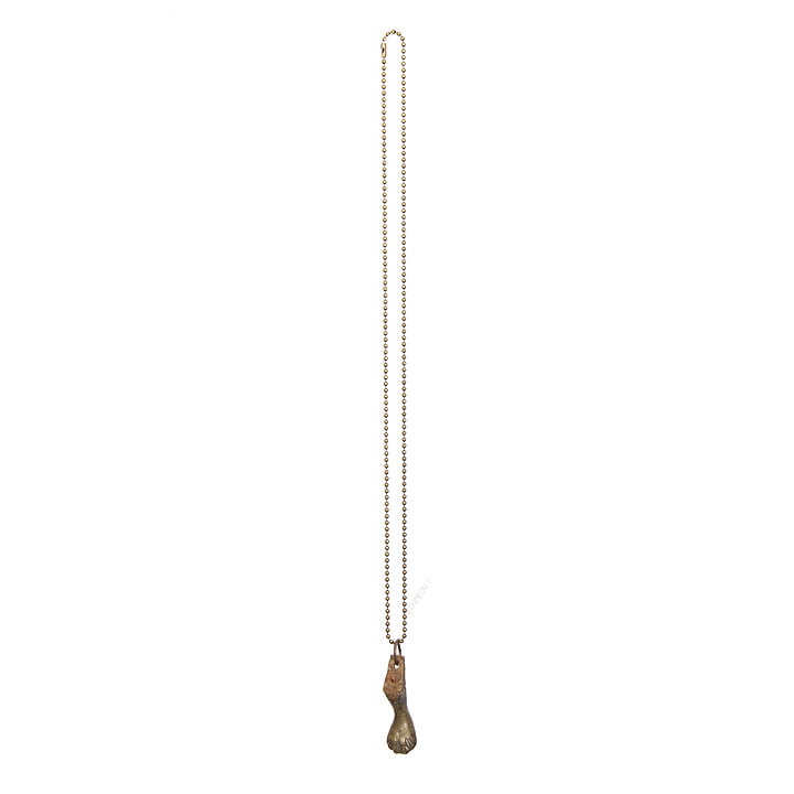 Ketting met leeuwenpoot-hanger