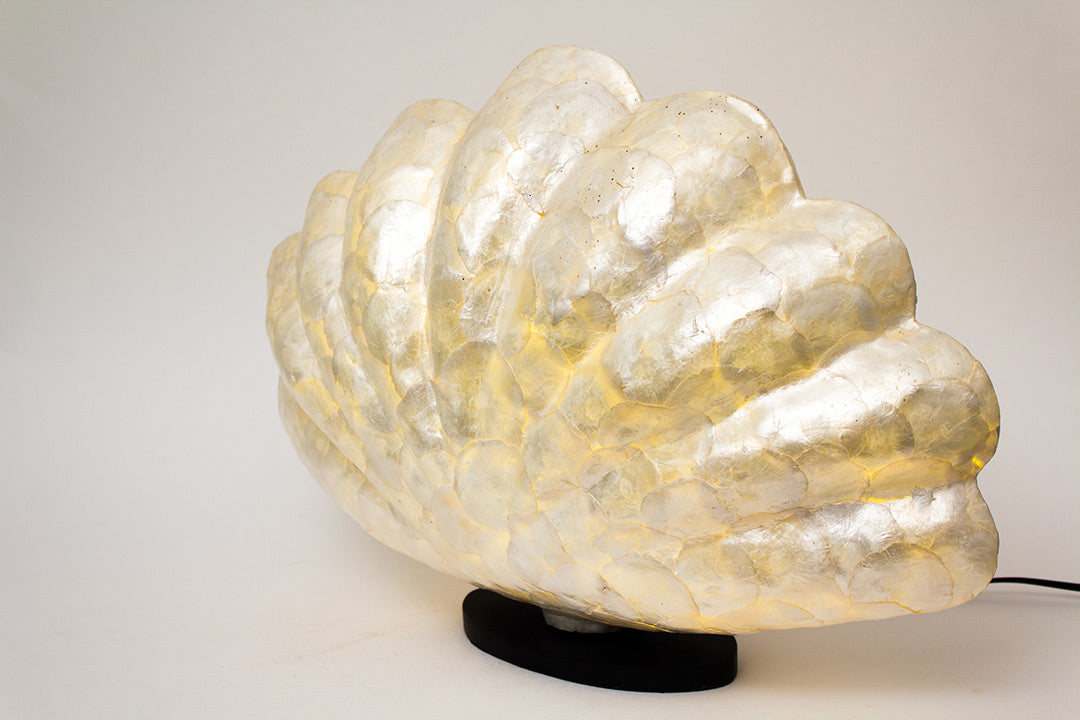 Vintage schelplamp parelmoer