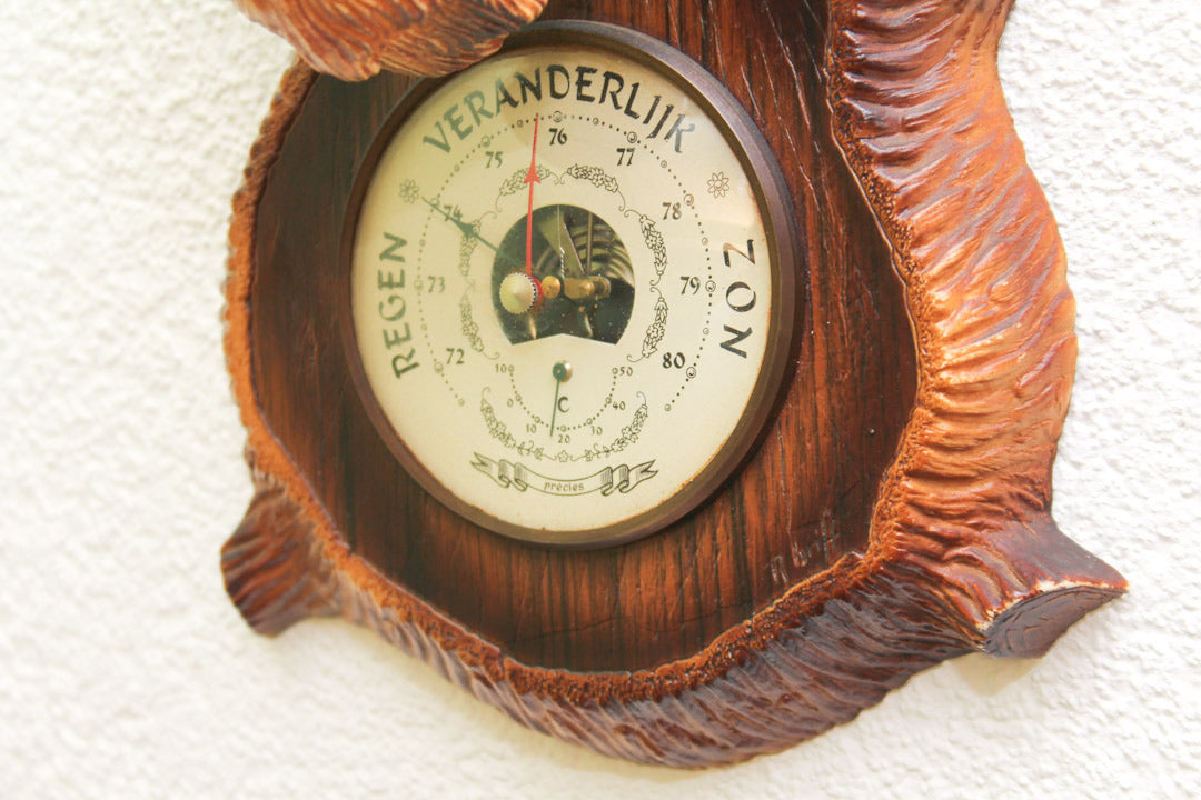 Barometer Ram