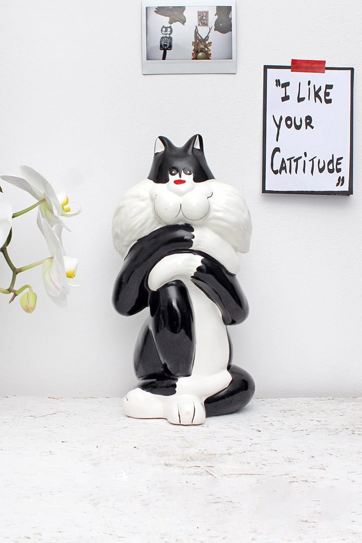 Amerikaanse cartoon kattenbeeld