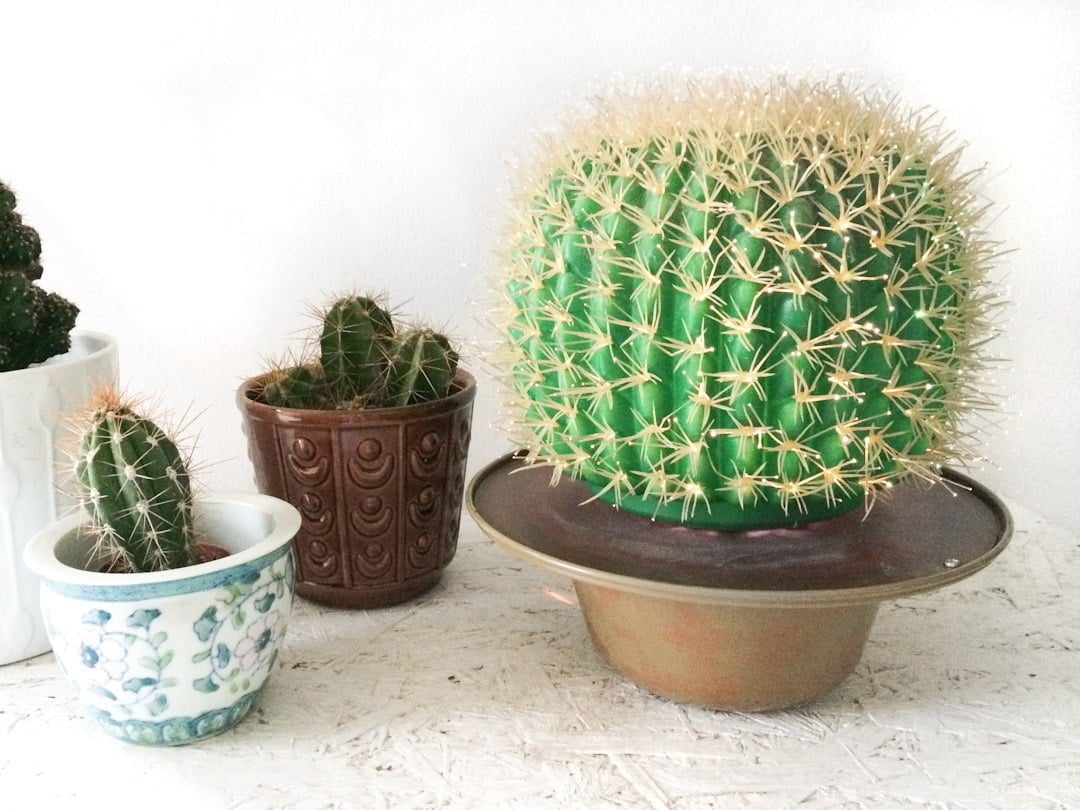 vintage cactus lamp