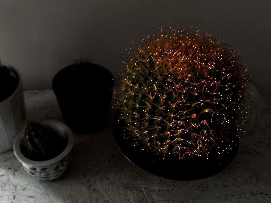 Vintage cactus lamp bol