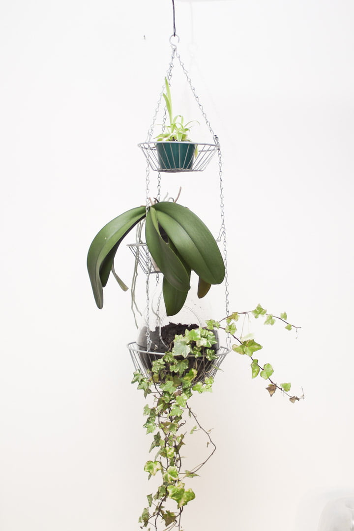 plantenhanger