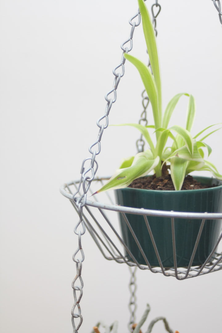 Metalen draad hangrekje / plantenhanger