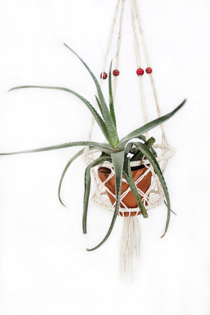 macrame plantenhanger