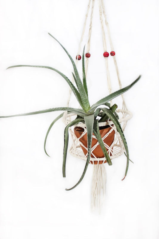 macrame plantenhanger