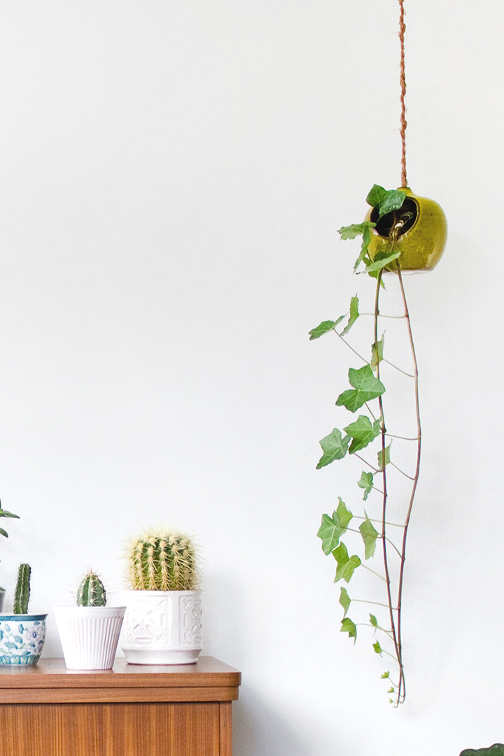 Vintage plantenhanger potje
