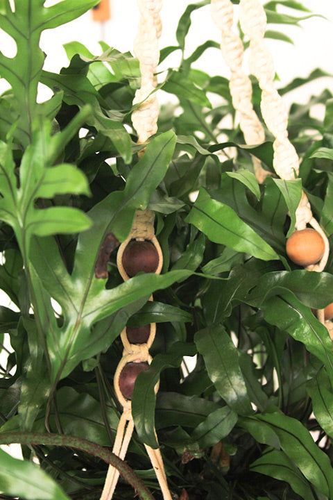 Grote macrame plantenhanger