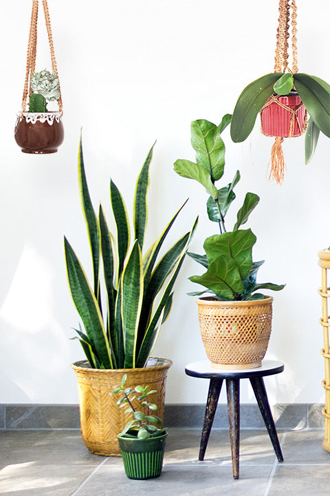 Vintage plantenhanger pot lava drip rode macrame