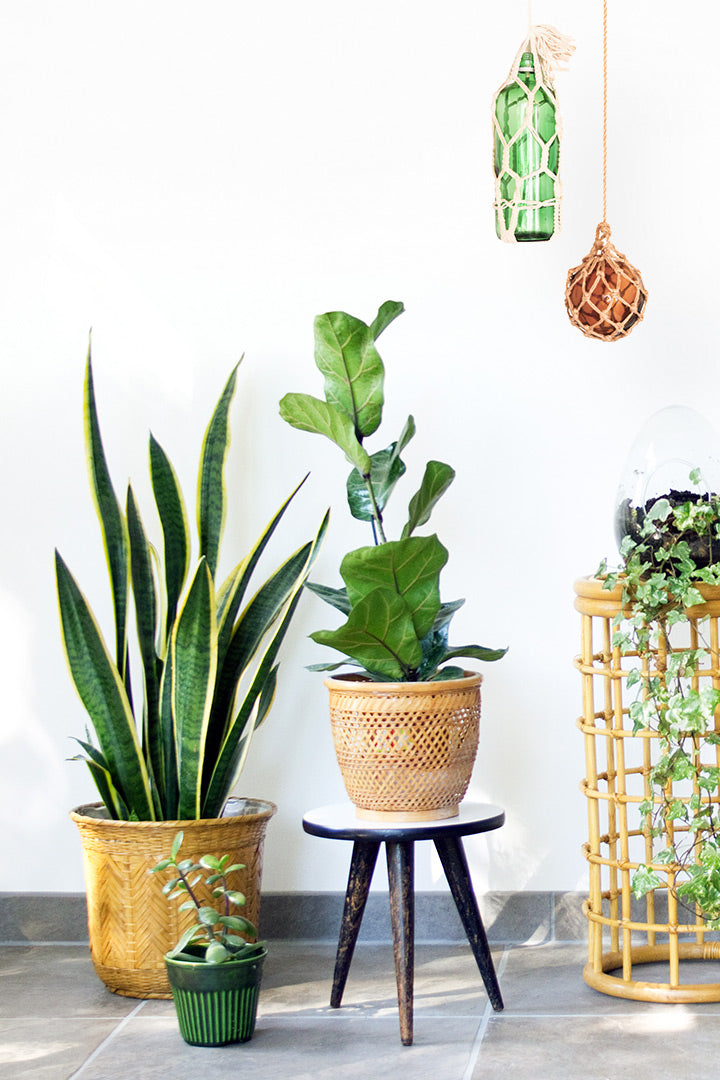 Macrame bol & fles