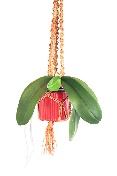 Rode vintage pot macrame