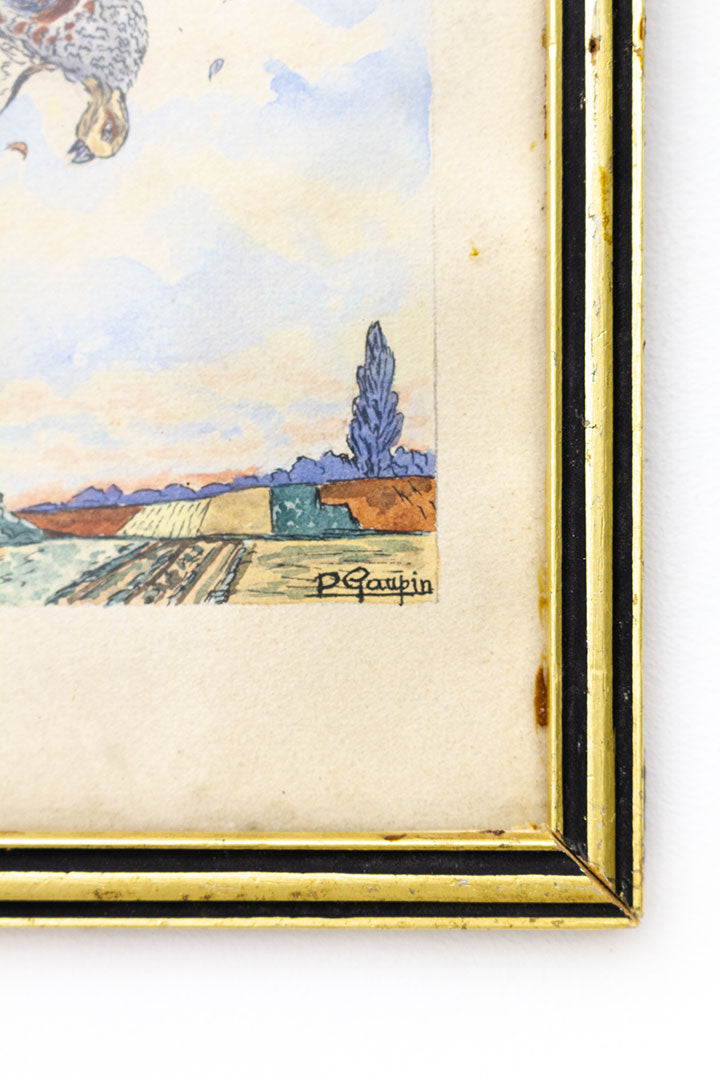 Antieke ingelijste tekening fazanten op het platteland - P Gaupin 1934