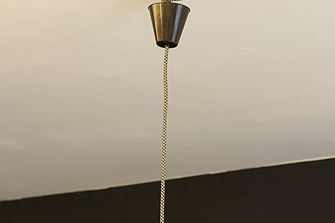 Bruine heksenhoed lamp Dijkstra