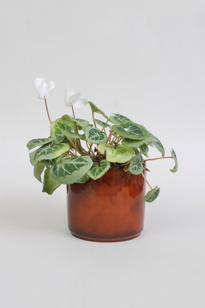 vintage bloempot