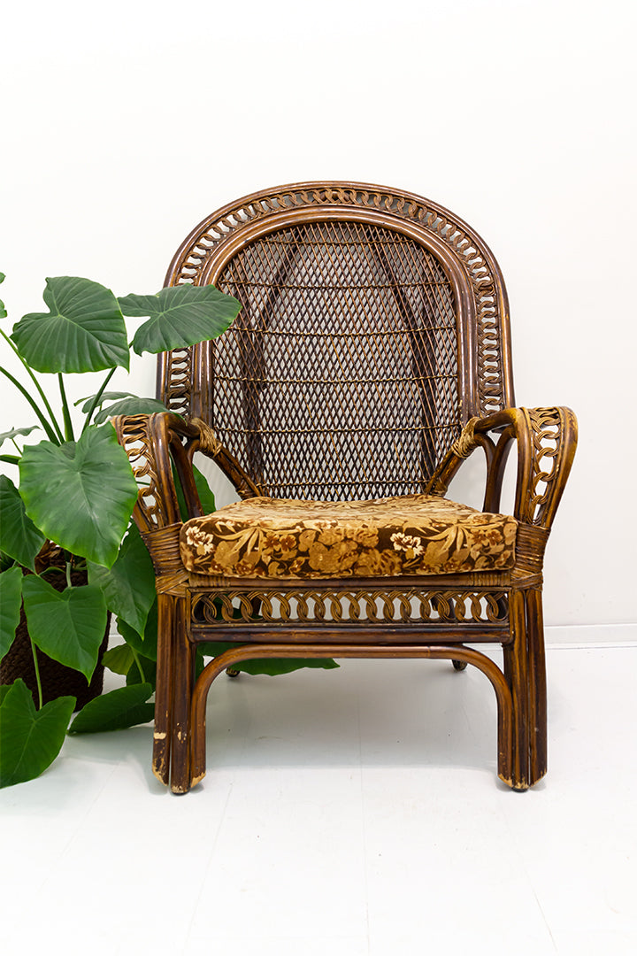 Donkere rotan stoel met seventies kussen