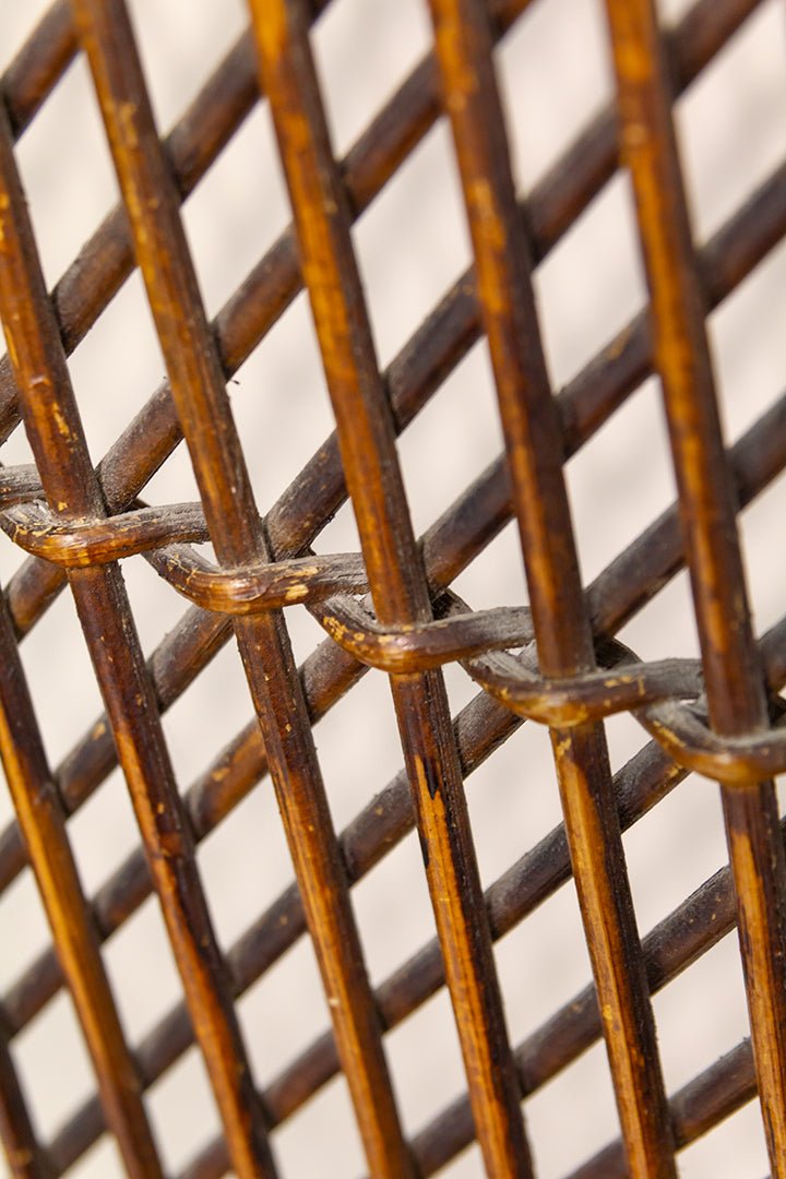 Donkere rotan stoel met seventies kussen