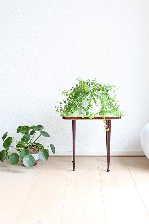 Elegant vintage plantentafeltje