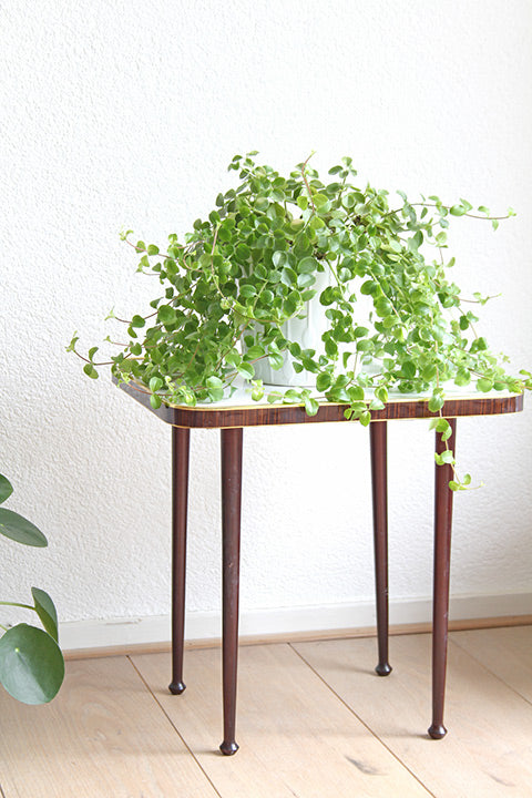 Elegant vintage plantentafeltje