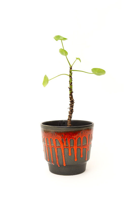 Fat lava bloempot bruin/rood vintage West-Germany