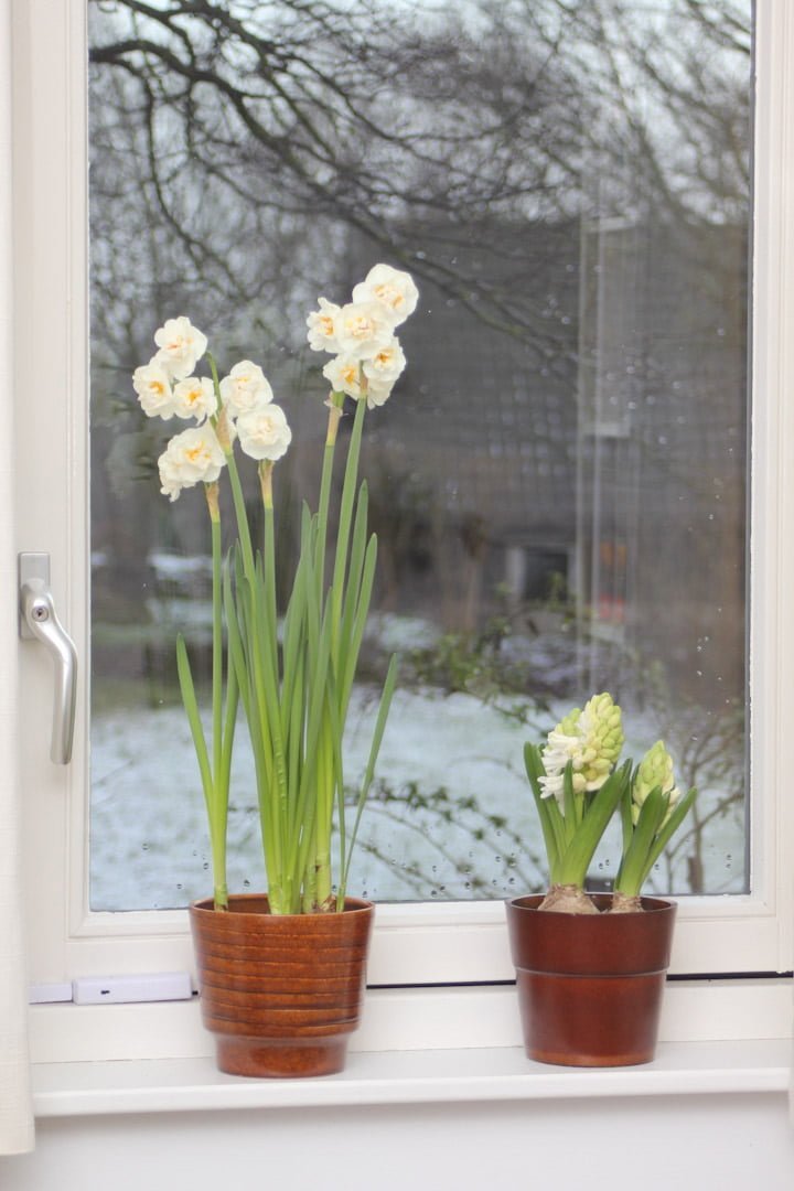 bruine bloempot