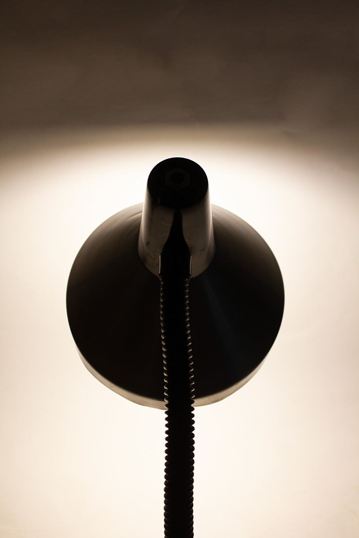 Vintage Hala Zeist bureaulamp no. 751 door H. Busquet