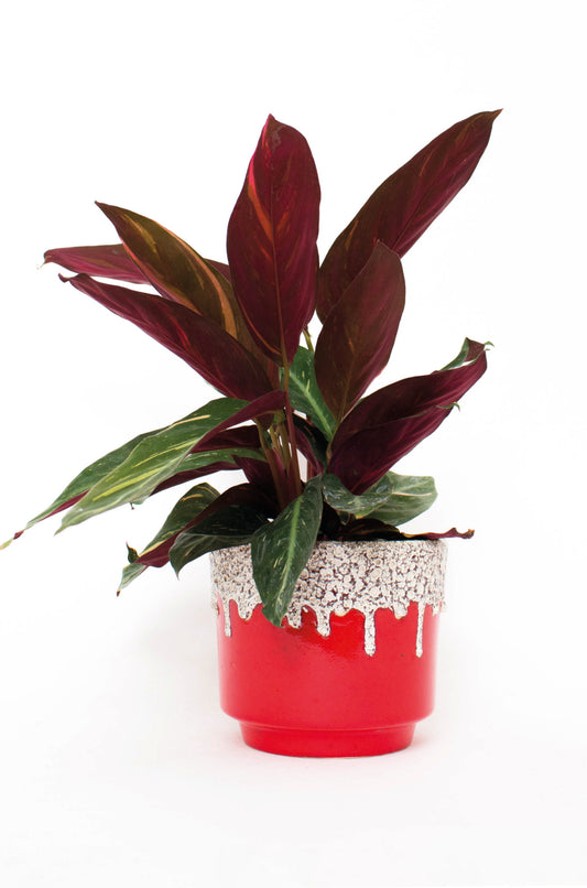 West-Germany jaren 70 bloempot rood wit druipglazuur