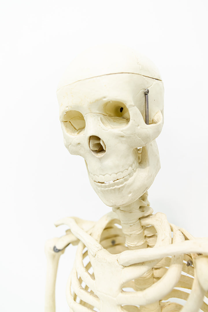 Afhalen en bezorging Dit item kan opgehaald worden in onze winkel in Arnhem, of tegen bezorgkosten bezorgd worden. Meer informatie? Neem contact met ons op!