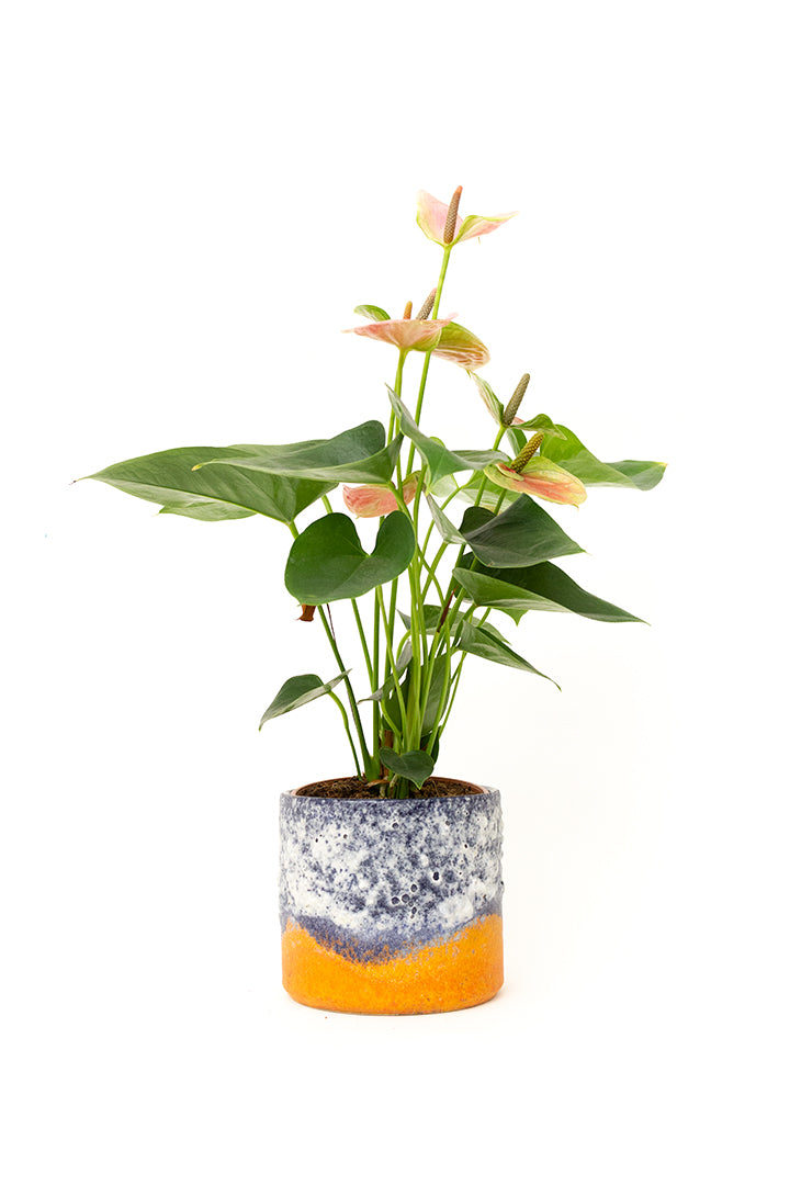 Vintage fat lava bloempot West-Germany jaren 70