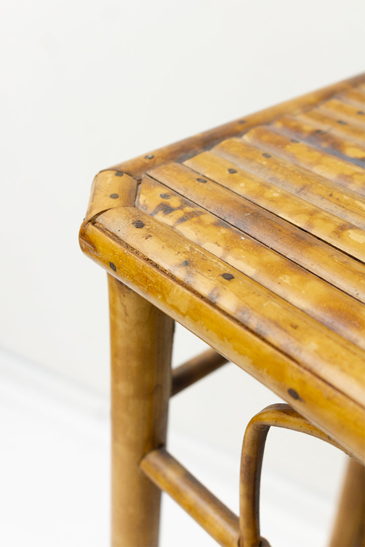 Vintage rotan plantentafel/pied de stalle