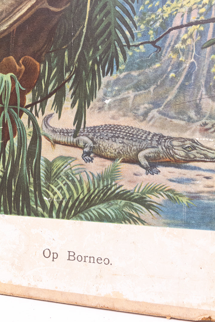 Vintage schoolplaat ‘op Borneo’ van M.A. Koekkoek