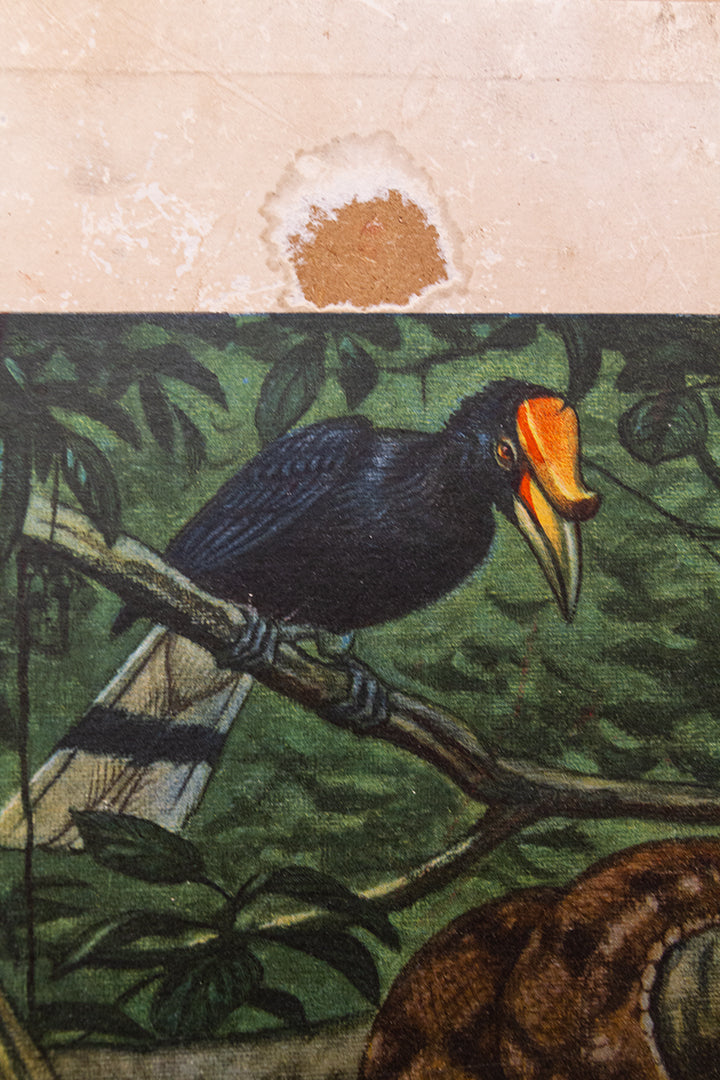 Vintage schoolplaat ‘op Borneo’ van M.A. Koekkoek