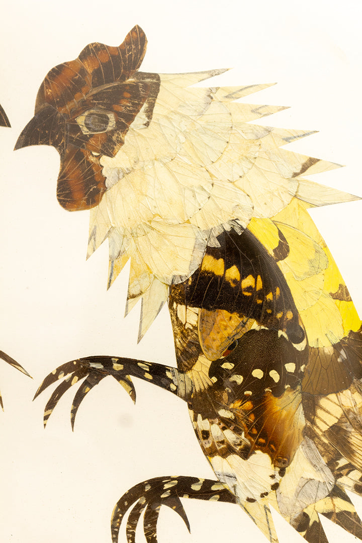 Vintage taxidermie schilderij - hanen van vlindervleugels