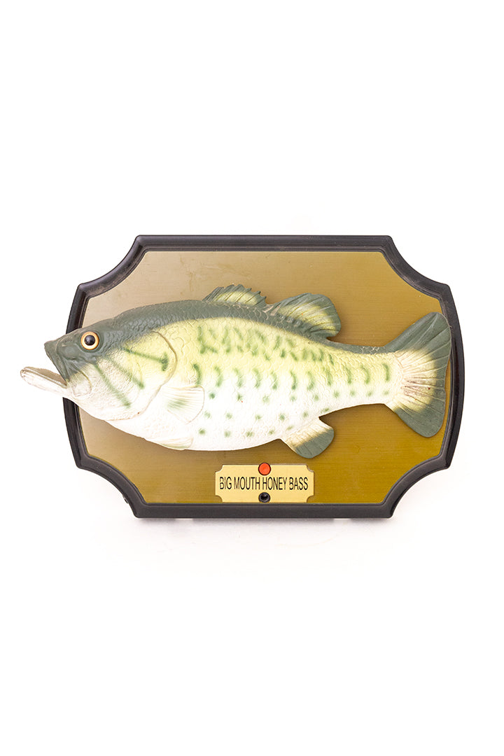 Vintage zingende vis ‘Big Mouth Honey Bass’