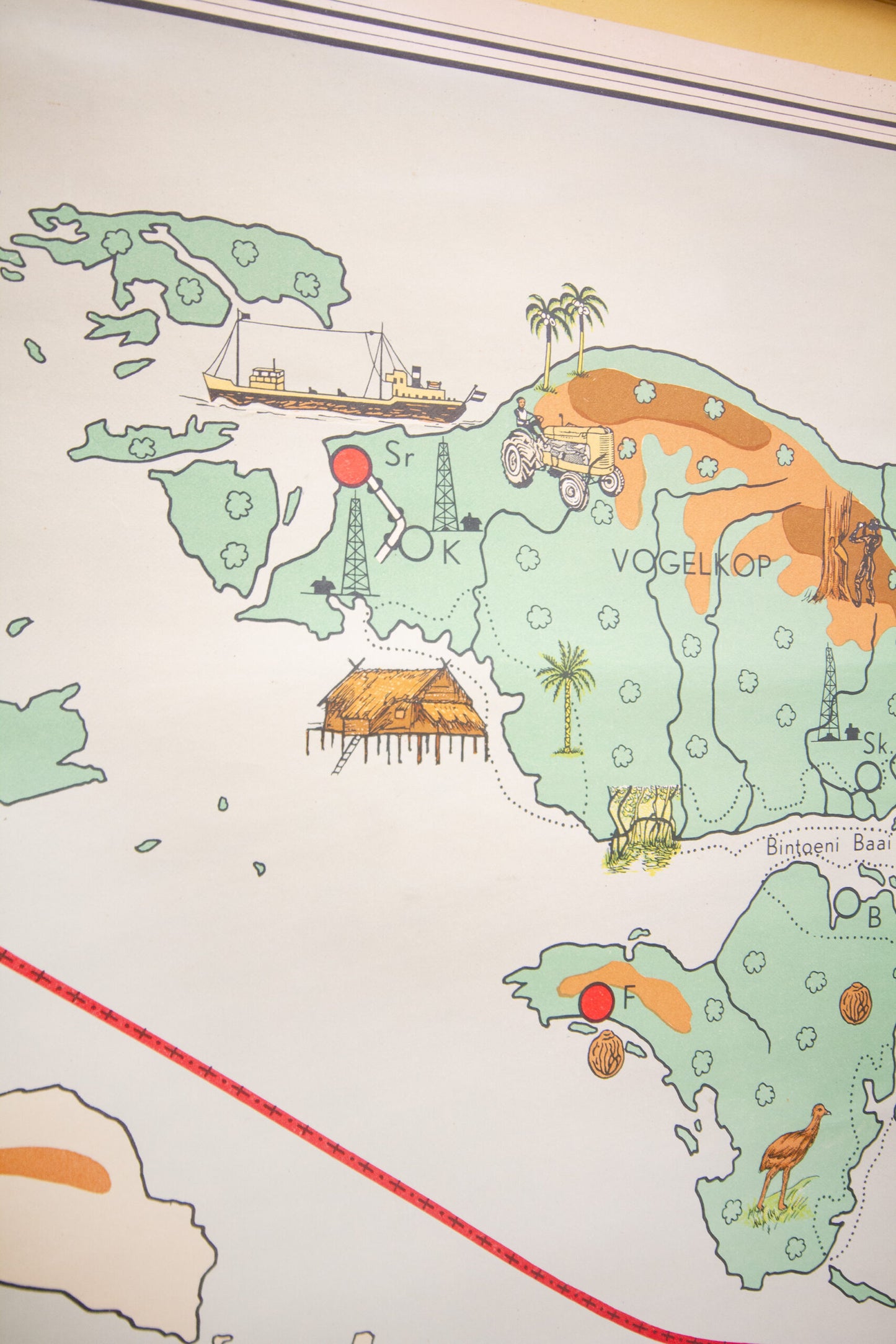 Wandkaart Nederlands Nieuw Guinea