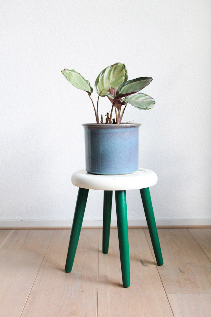 Japans botanisch plantentafeltje driepoot
