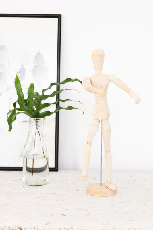 anatomie pop