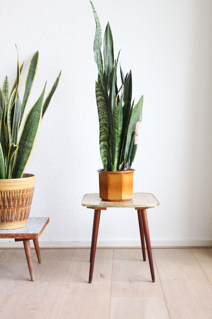 houten plantentafeltje