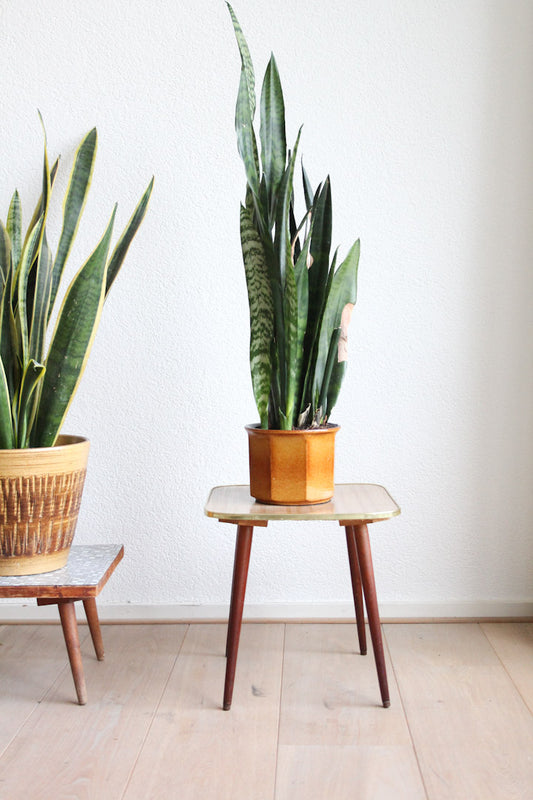 houten plantentafeltje
