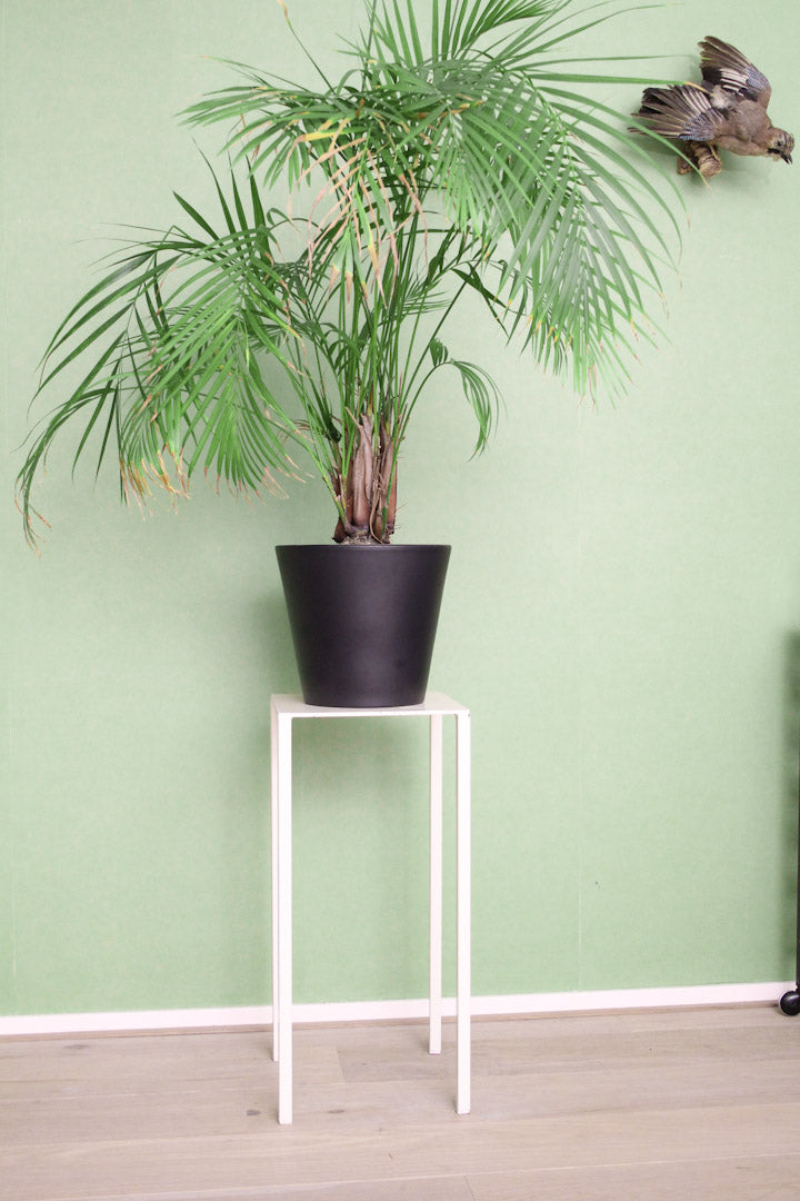 Metalen minimalistische witte pied de stal / plantenstandaard