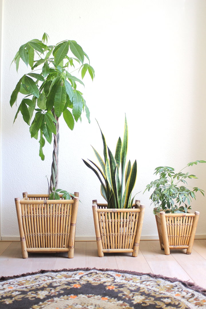 rotan plantenbakken