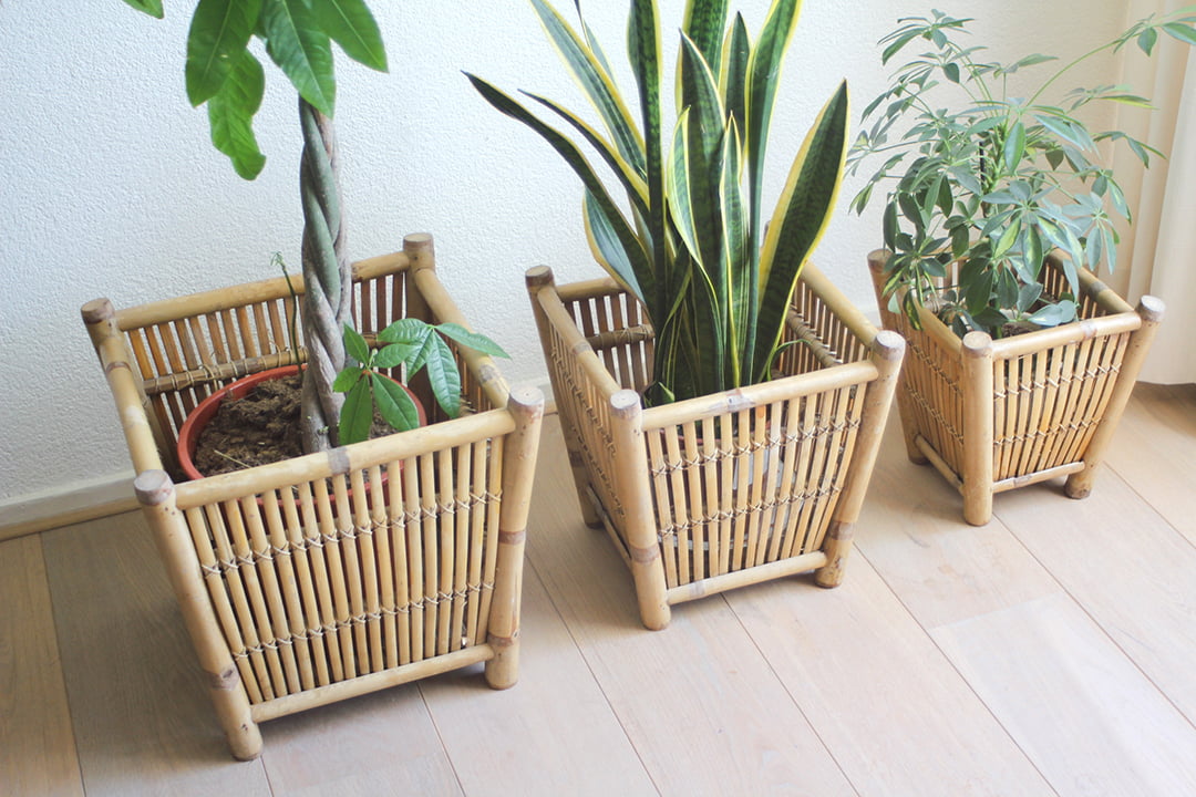 Set van 3 rotan plantenbakken