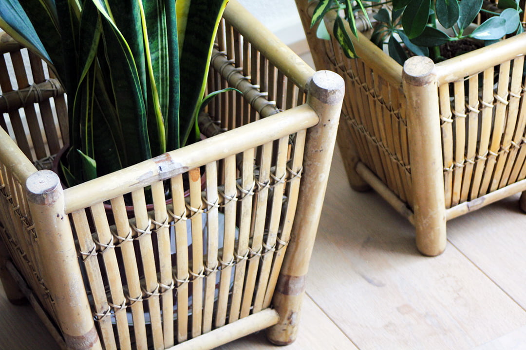 Set van 3 rotan plantenbakken