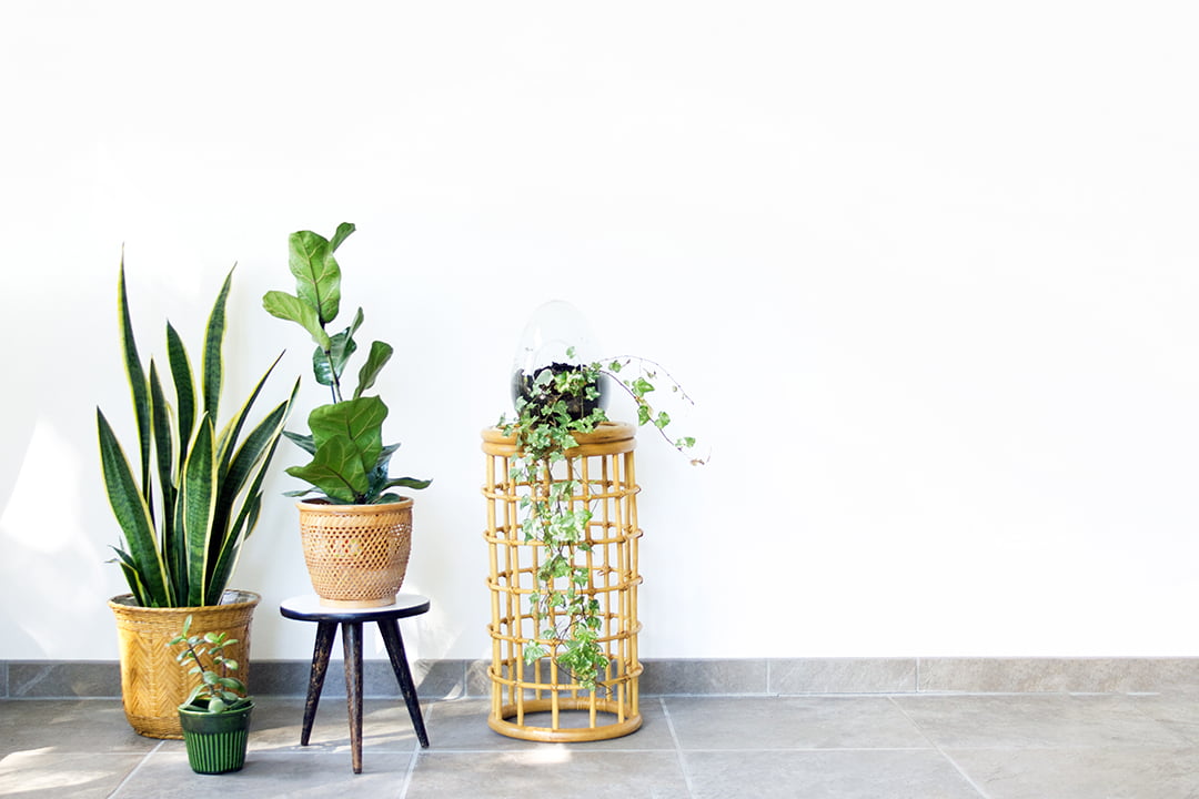Vintage plantentafeltje driepoot
