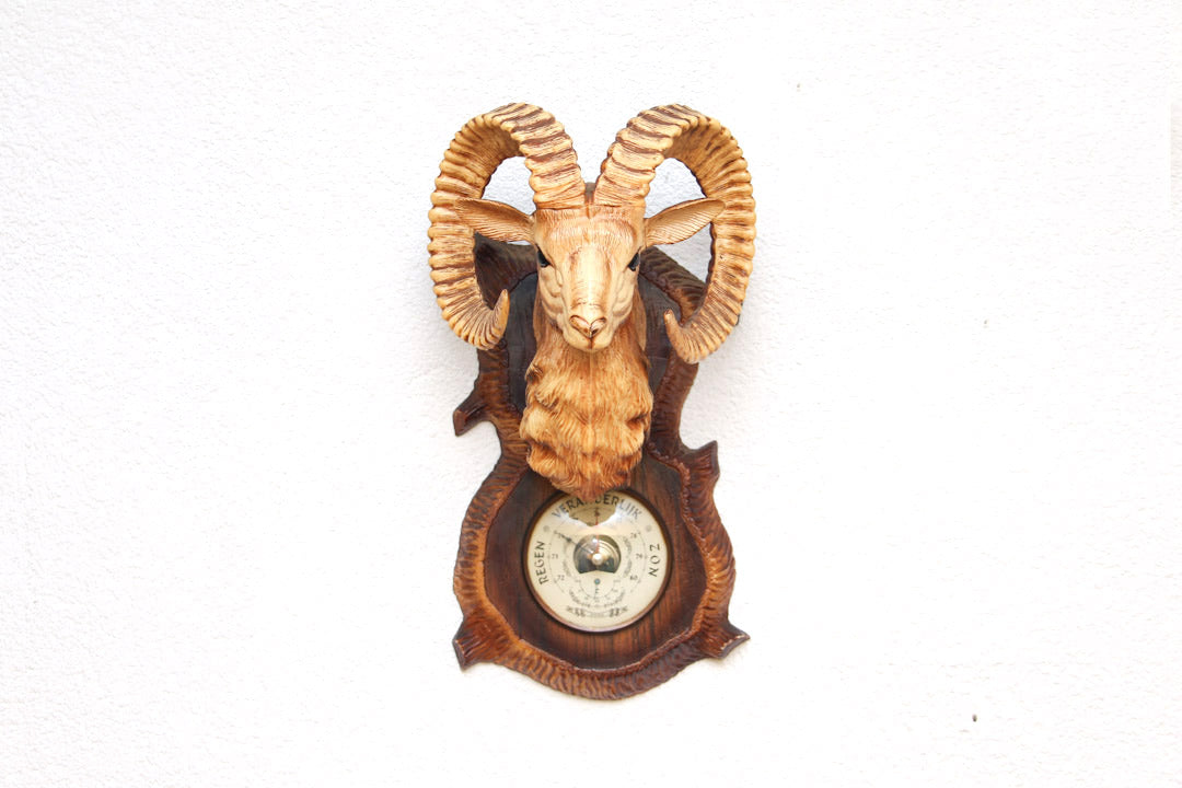 barometer ram