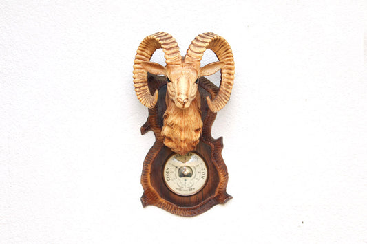 barometer ram