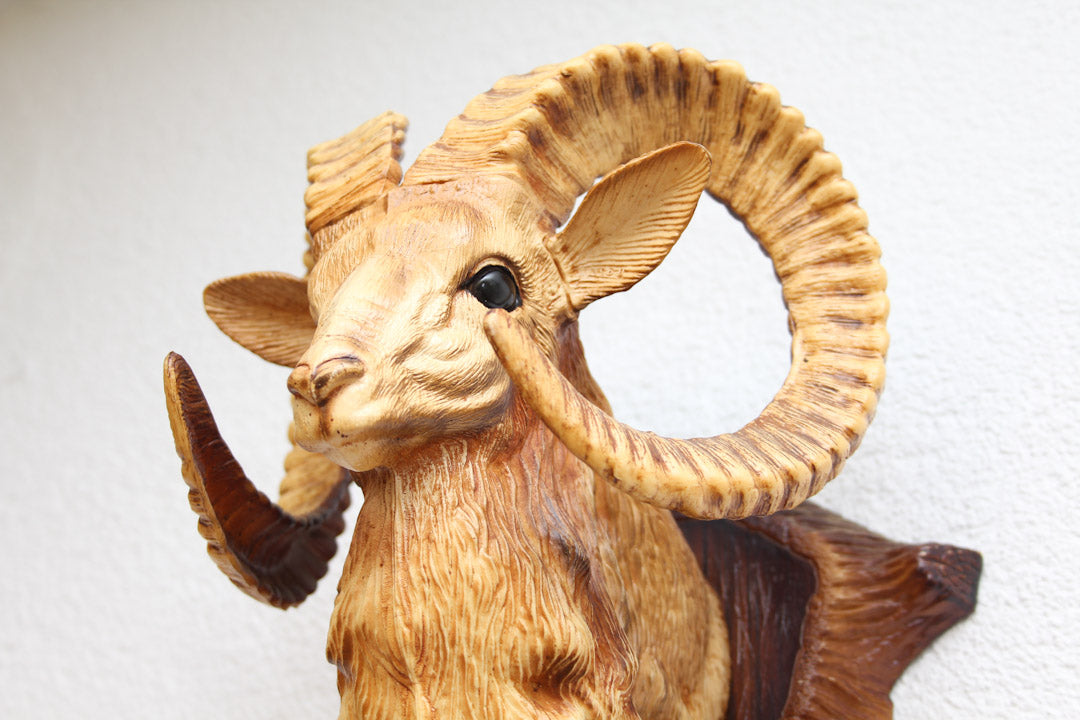 Barometer Ram