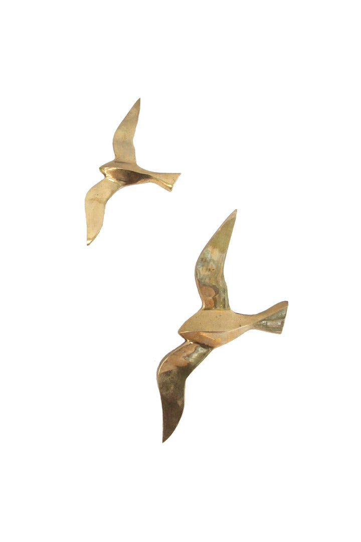 messing vogels