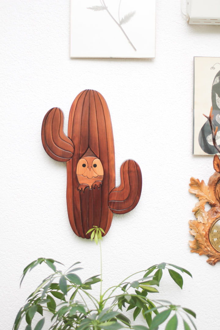 muurdecoratie cactus