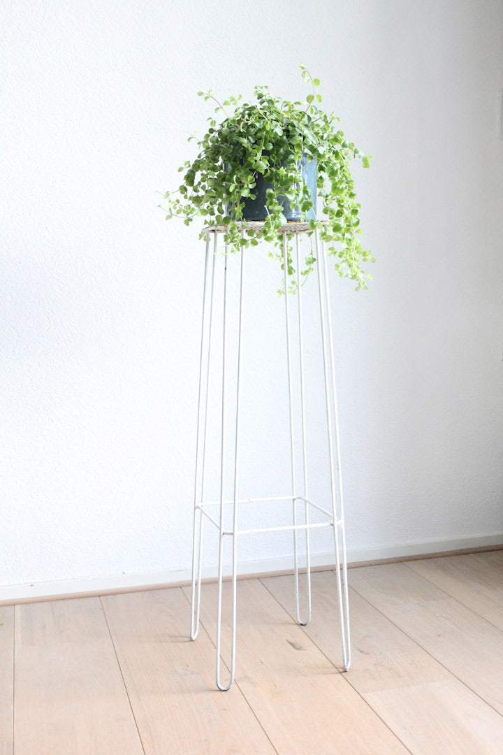Witte metalen pied de stal / plantenstandaard met hairpin legs